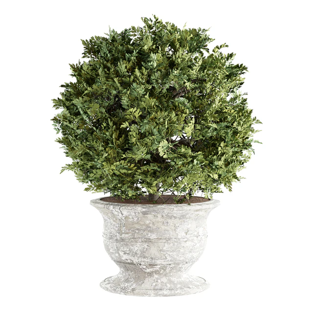 Outdoor Plants 02 - Plants in Concrete Pots — Скачать