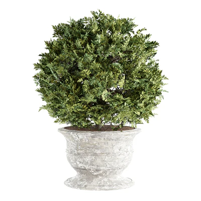 Outdoor Plants 02 - Plants in Concrete Pots — Вид 4