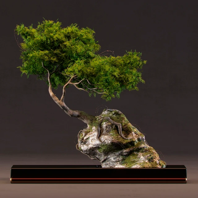 Bonsai — Descargar