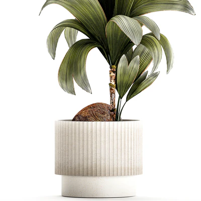 Коллекция растений 1457 — Вид 7