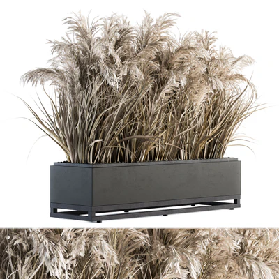 indoor Plant Set 131 - Dried Plant box — Ver 1