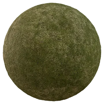 mossy grass 009 — Descargar