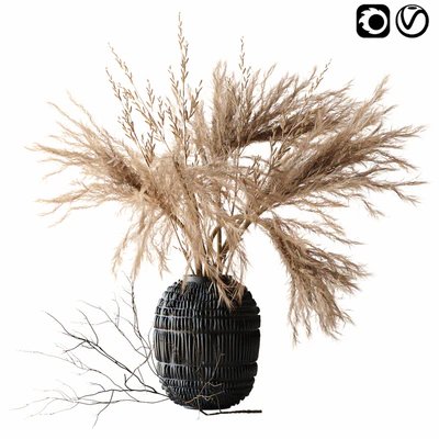 Brown pampas — Ver 1