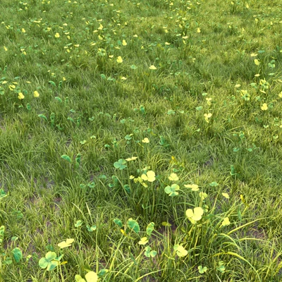 grass for lanscape 06 — Ver 3