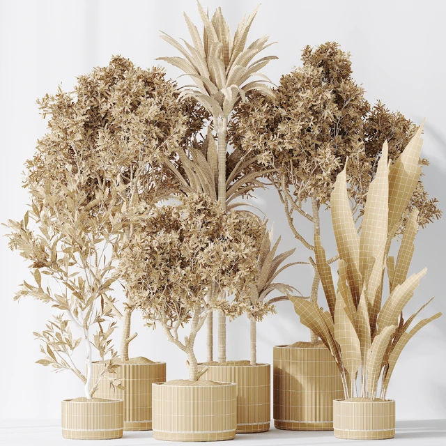 Indoor plants set 63 — Descargar