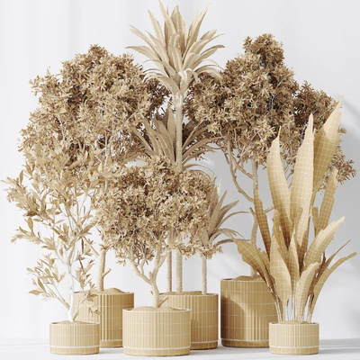 Indoor plants set 63 — Ver 5