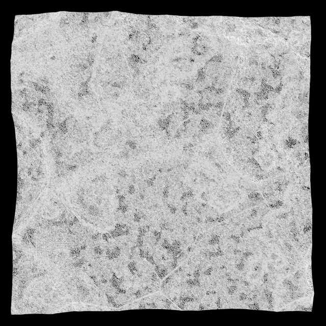 Stone wall 269 — Скачать