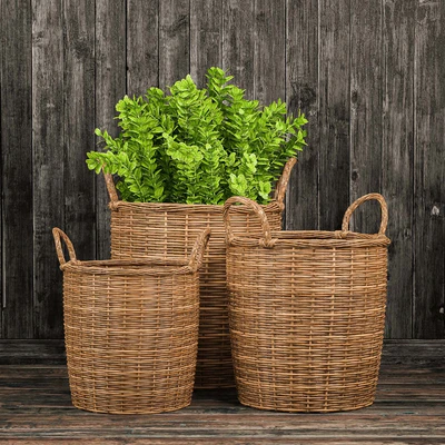 Basket with plants — Descargar