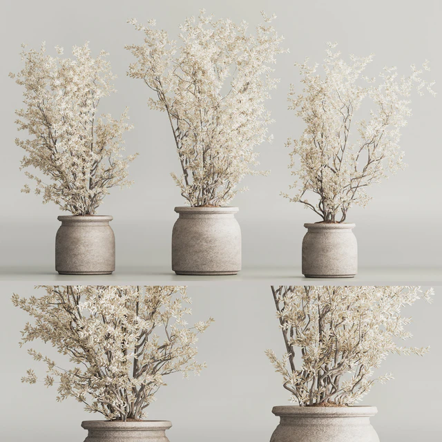 Indoor Plant Set 81 Dry Plants — Descargar