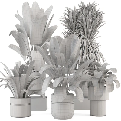 Indoor Plants in Ferm Living Bau Pot Large - Set 1947 — View 6