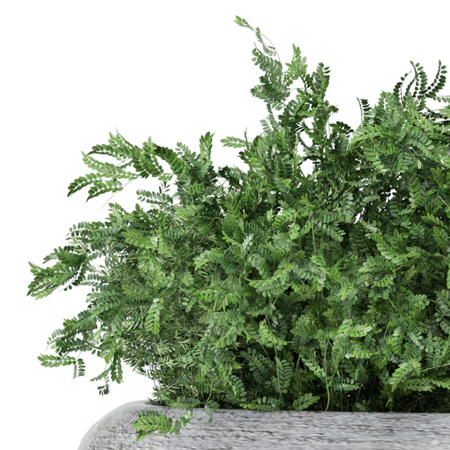 Indoor Plants Collection 1900 — Download