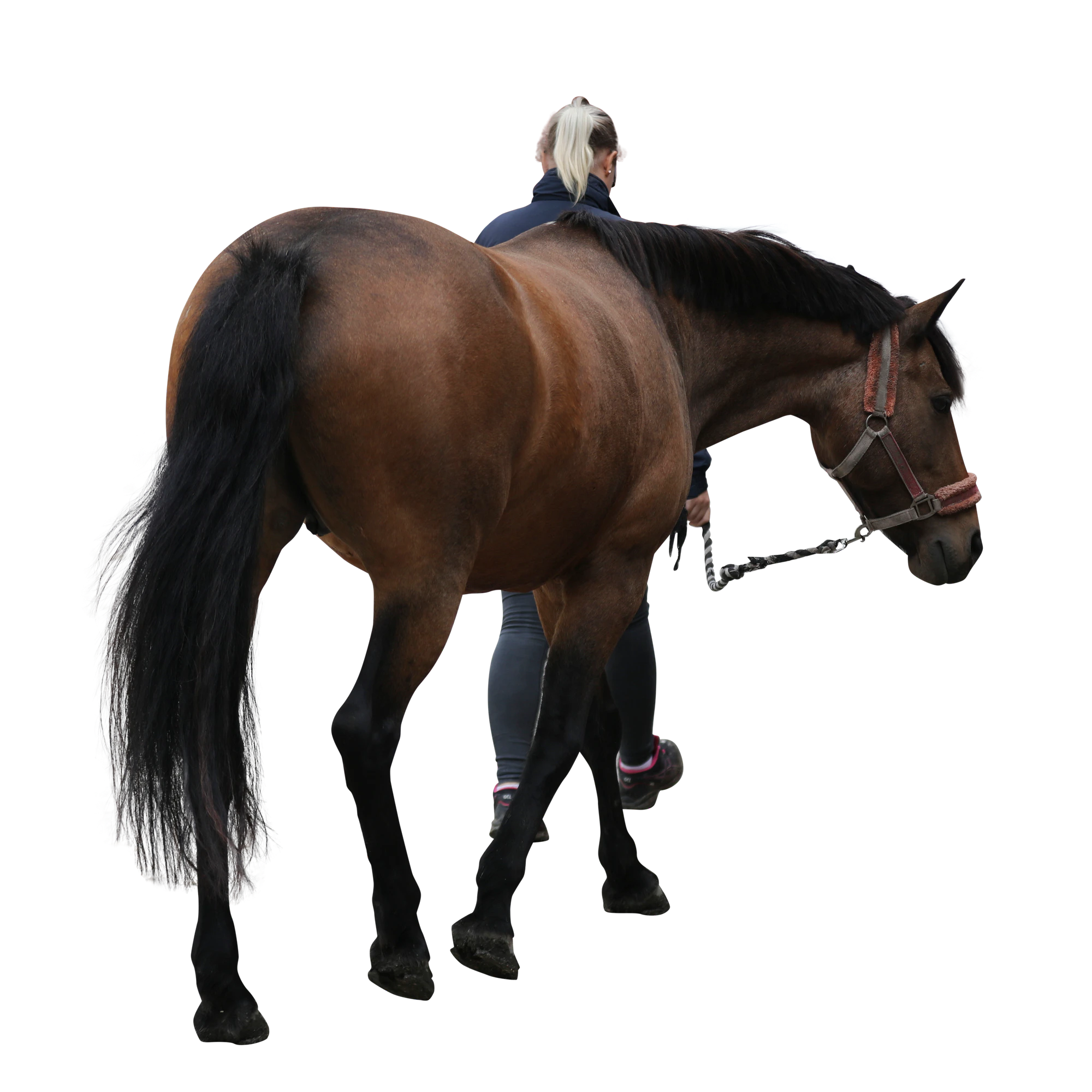 016 — Скачать