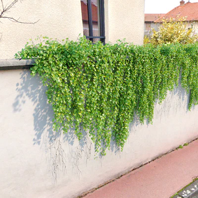 Hanging Plant 30 — Ver 3