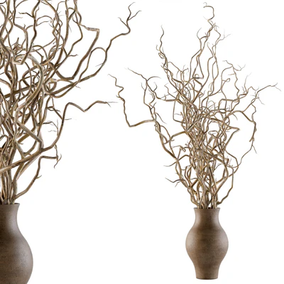 Bouquet Set 19 - Dried twisted branches — Вид 4