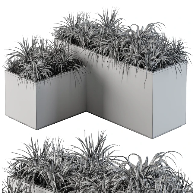 Outdoor Concrete Plant Box with Cereals and Green Grass — Скачать