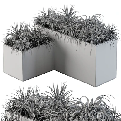 Outdoor Concrete Plant Box with Cereals and Green Grass — Вид 5