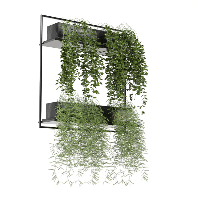indoor hanging plants in metal box set 142 — Скачать