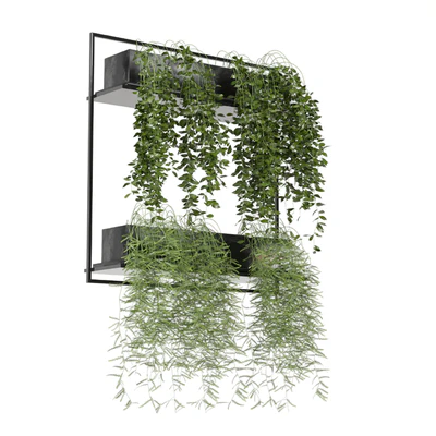 indoor hanging plants in metal box set 142 — Вид 4