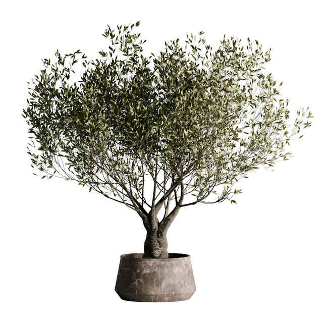 indoor plant set 09 — Скачать