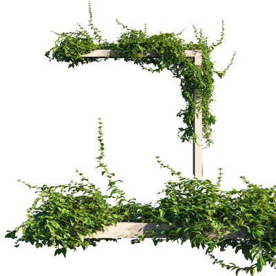 Vines on Wall 01 — Скачать