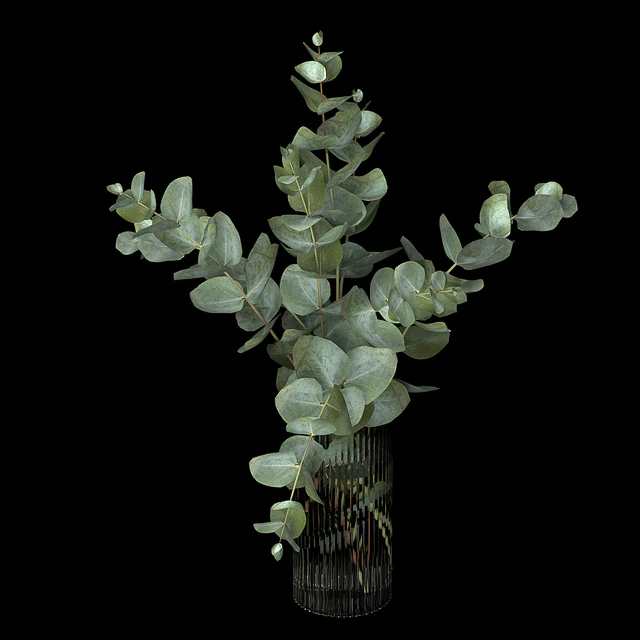 Bouquet 10 — Download