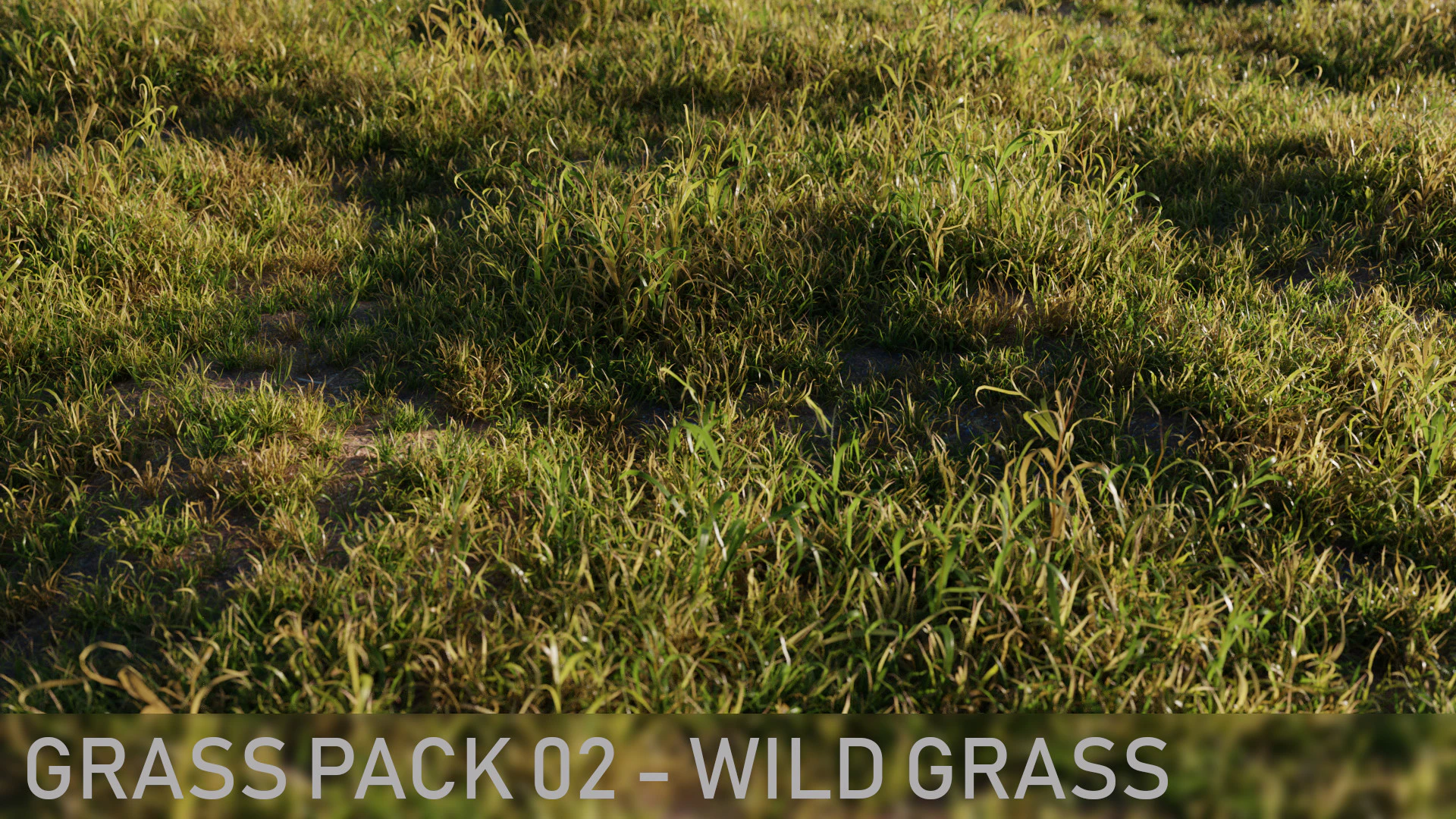 grass pack 002 wild grass — Скачать