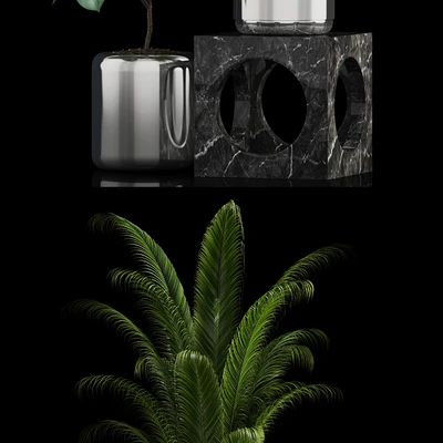 Plants collection 106 — Вид 3