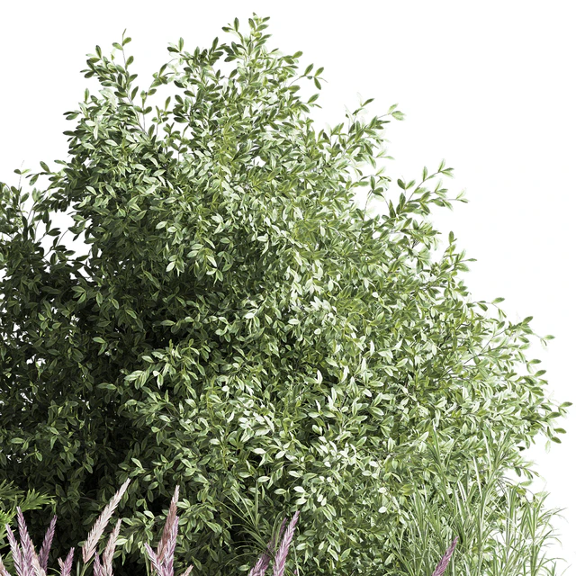 mixed plant and bush 01 — Descargar