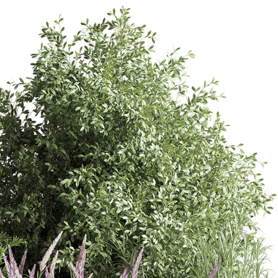 mixed plant and bush 01 — Ver 6