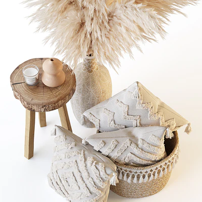 Decorative set with pillows and pampas — Ver 6