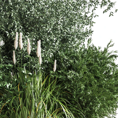 Bush04 — Вид 5