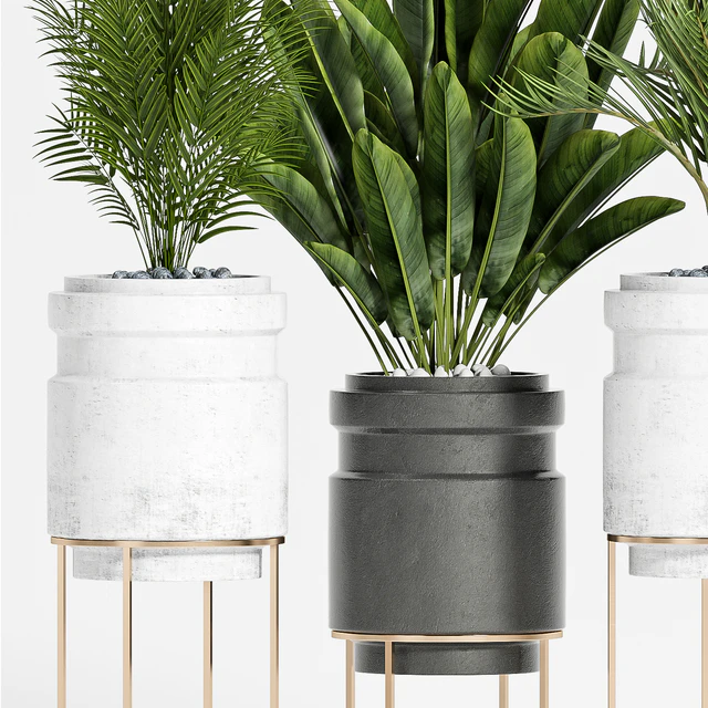 plant set-117 — Descargar
