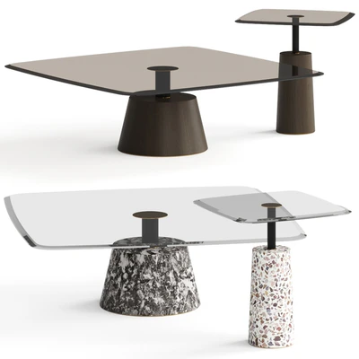 1stDibs Bronze Glass Fumed Eucalyptus Coffee Table — Ver 1