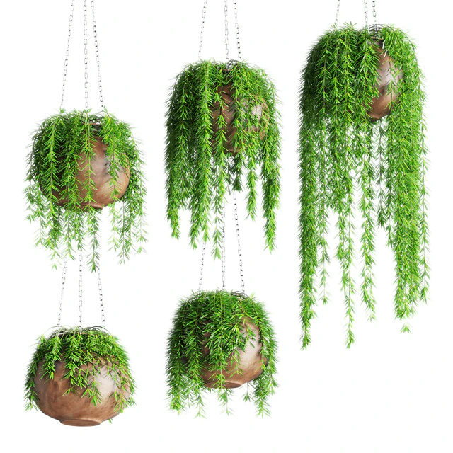 Hanging plants in pots — Descargar