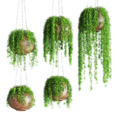 Hanging plants in pots — Ver 1
