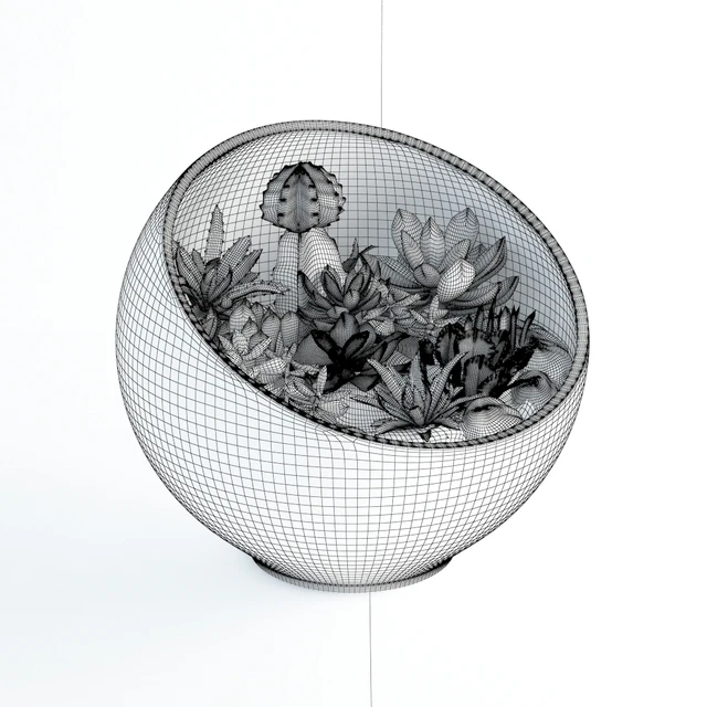 Succulents in glass bowl — Скачать
