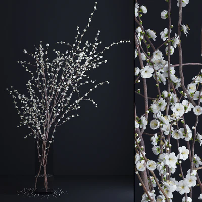 Prunus White Blossom — Ver 1