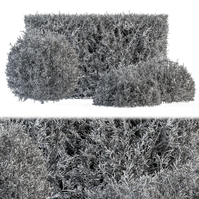 Cube and Circle Bush - Bush Set 18 — Descargar