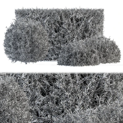 Cube and Circle Bush - Bush Set 18 — Ver 3