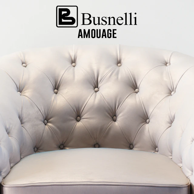 Busnelli Amouage Armchair — Скачать