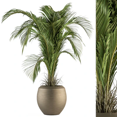 indoor Plant Set 132 - Tropical Plant — Ver 1