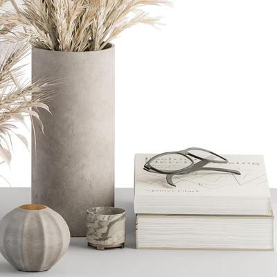 Decorative Set moon mirror with Dried Plant - Set 100 — Ver 4