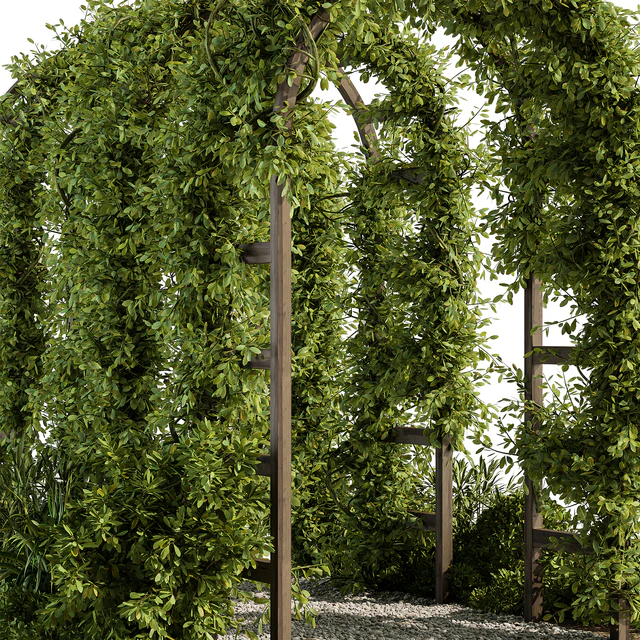 Backyard and Landscape Furniture Pergola and Plant - Set 61(Corona) — Descargar