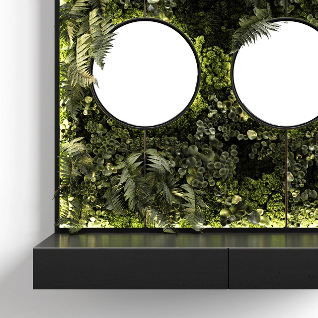 Console with mirrors and vertical garden — Descargar
