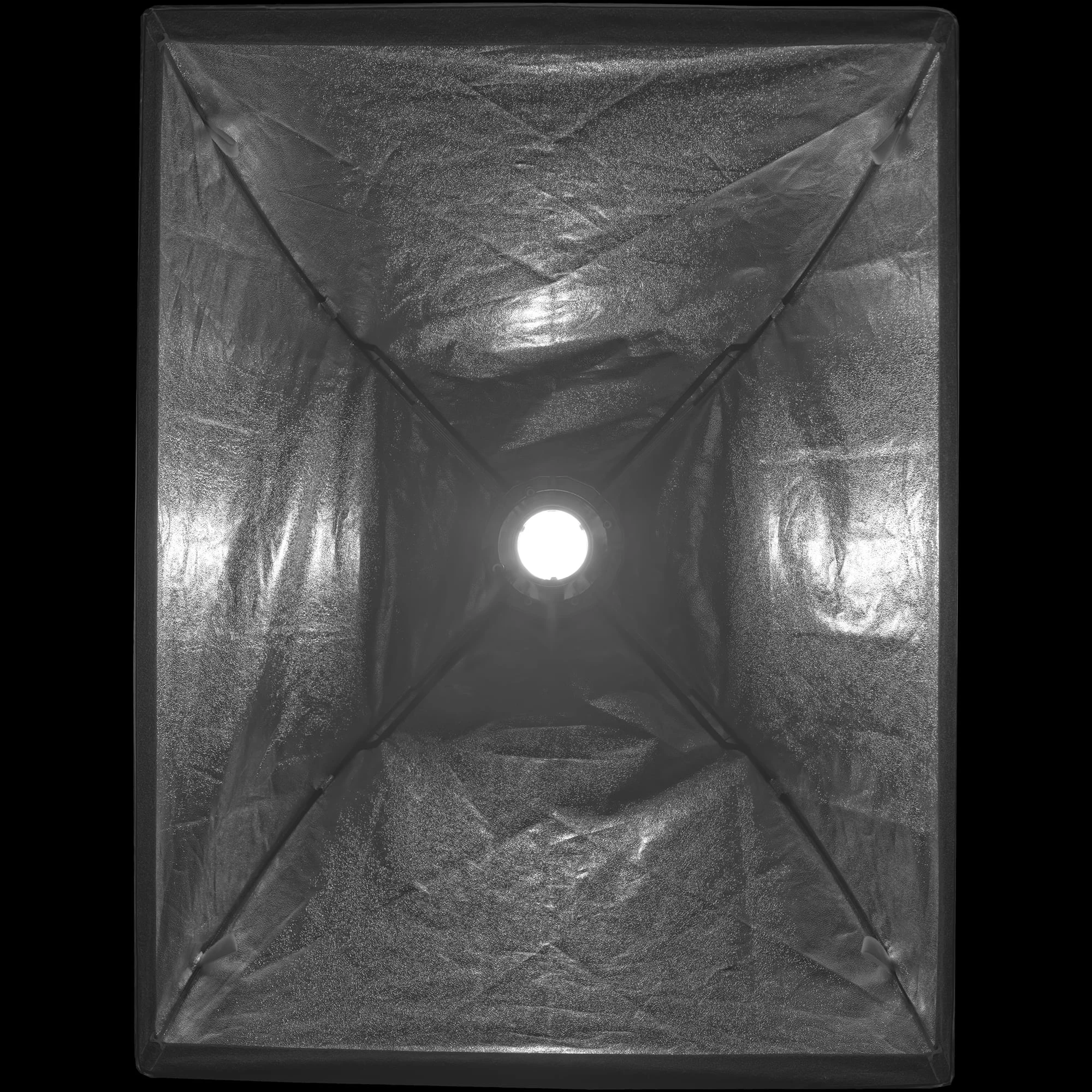 rls015 profoto softbox rfi — Download