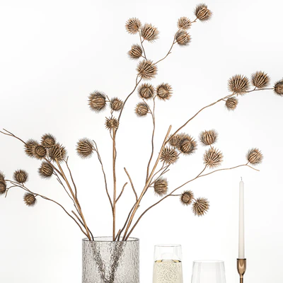 Bouquet of dried flowers from thorn branches burdock with a vase and a glass of sparkling wine. 253 — Ver 5