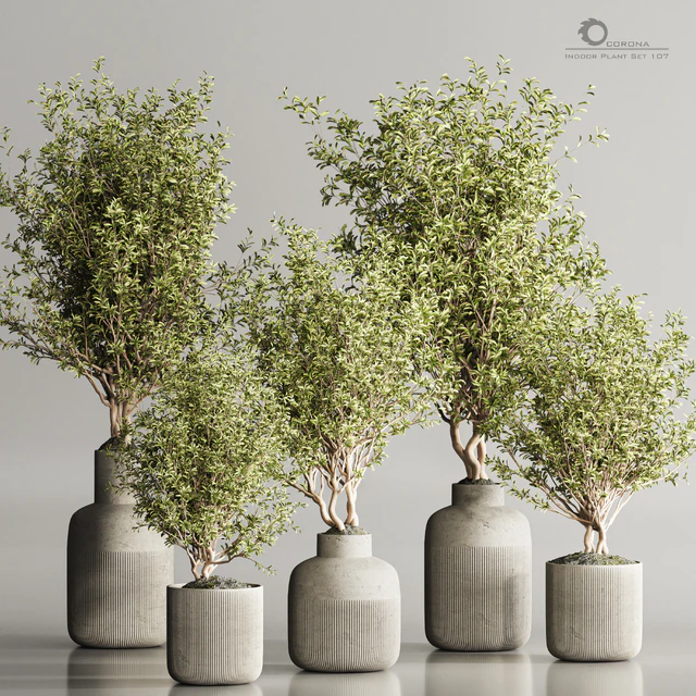 Indoor Plant Set 107 — Descargar
