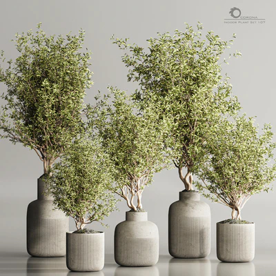 Indoor Plant Set 107 — Ver 1