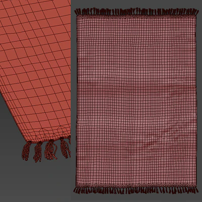 Triba carpet by La Redoute — Ver 4