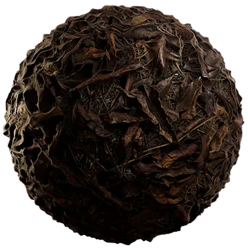 moist fallen leaves 007 — Descargar